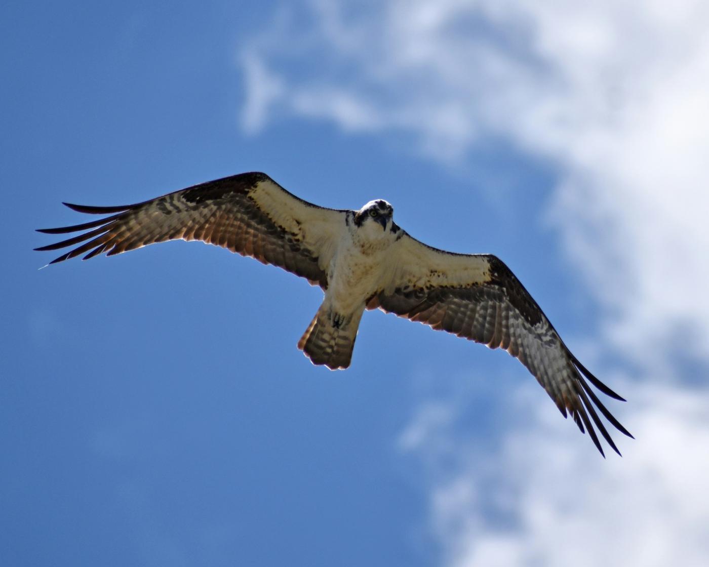 ian tuck BAbYVZQ54mY unsplash