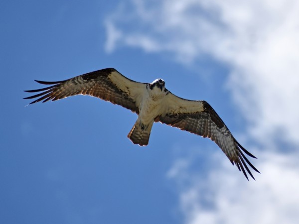 ian tuck BAbYVZQ54mY unsplash