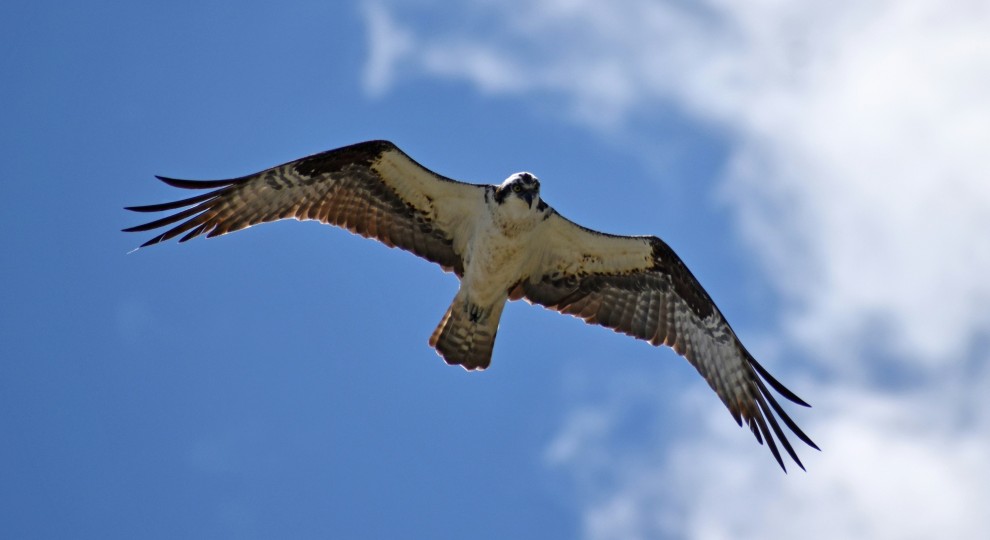 ian tuck BAbYVZQ54mY unsplash