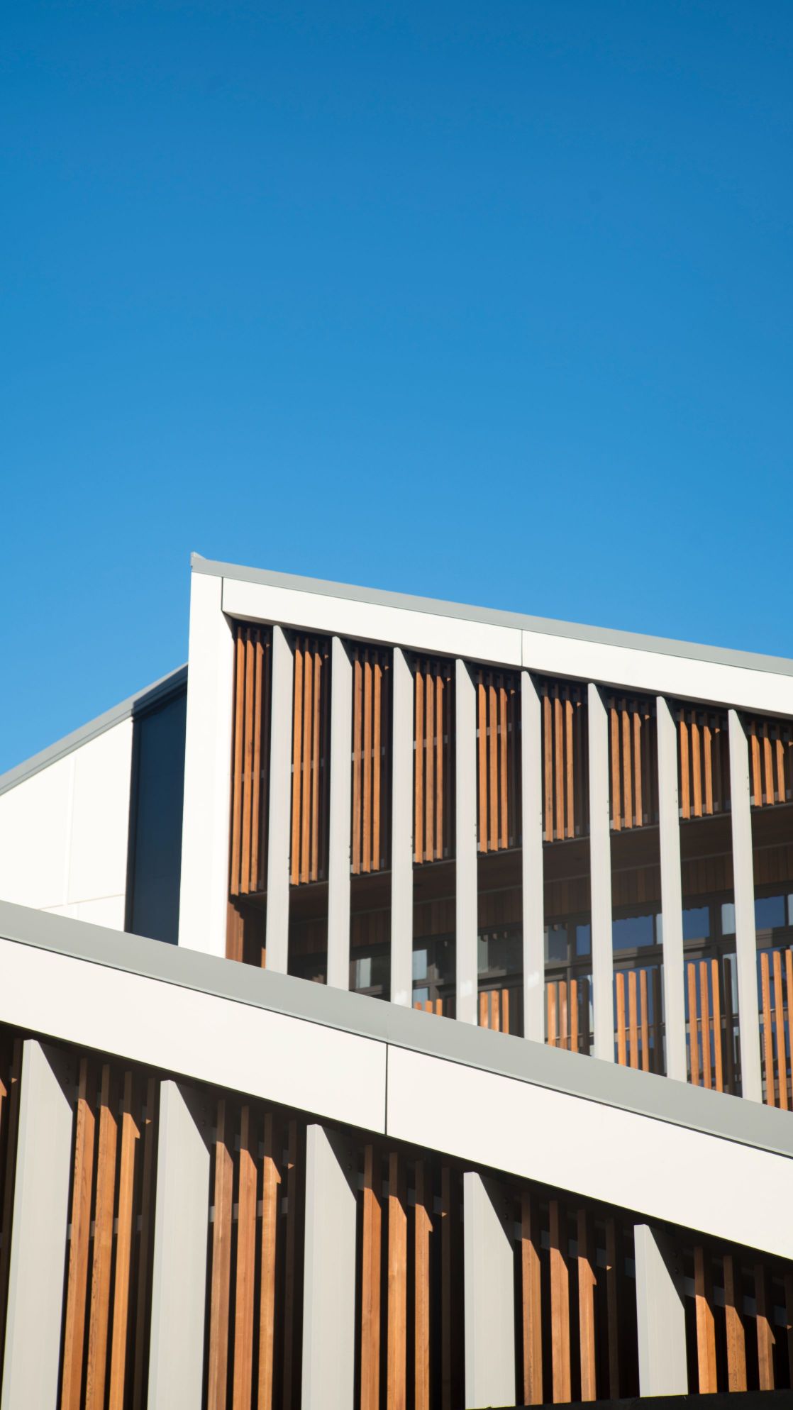 Burwood Hospital (7)