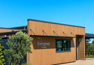 Evergreen 3