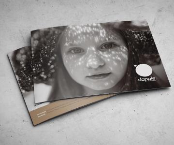 Dapple Perforated & Expanded Metal